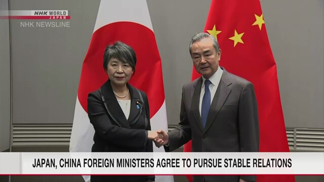 Министры иностранных дел Японии и Китая договорились поддерживать взаимовыгодные стратегические отношения