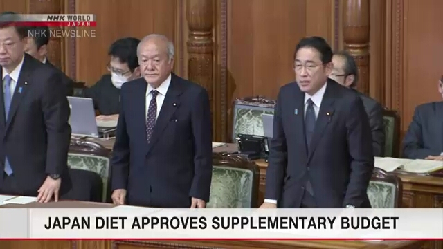 Парламент Японии одобрил дополнительный бюджет для финансирования экономического пакета