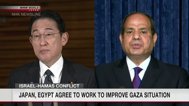 Япония и Египет договорились сотрудничать в целях улучшения ситуации в секторе Газа