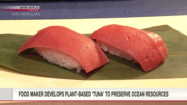 Производитель продуктов питания разрабатывает «тунца» на растительной основе, чтобы сохранить ресурсы океана