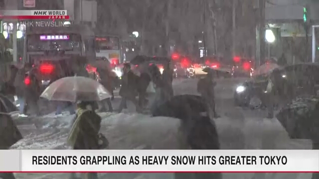 Ожидаемый сильный снегопад вызвал сбой в работе транспорта в Большом Токио
