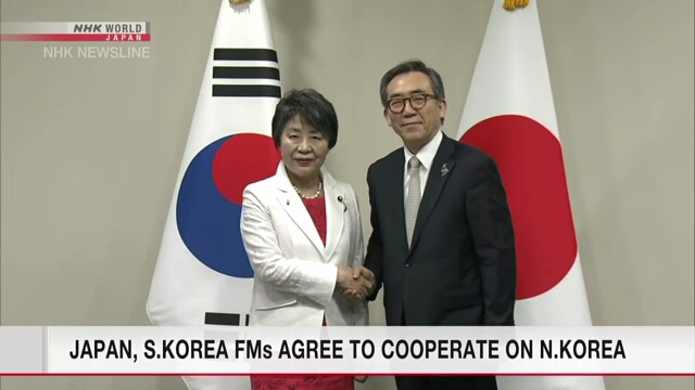 Главы внешнеполитических ведомств Японии и Южной Кореи выразили согласие работать вместе в вопросах, связанных с Северной Кореей
