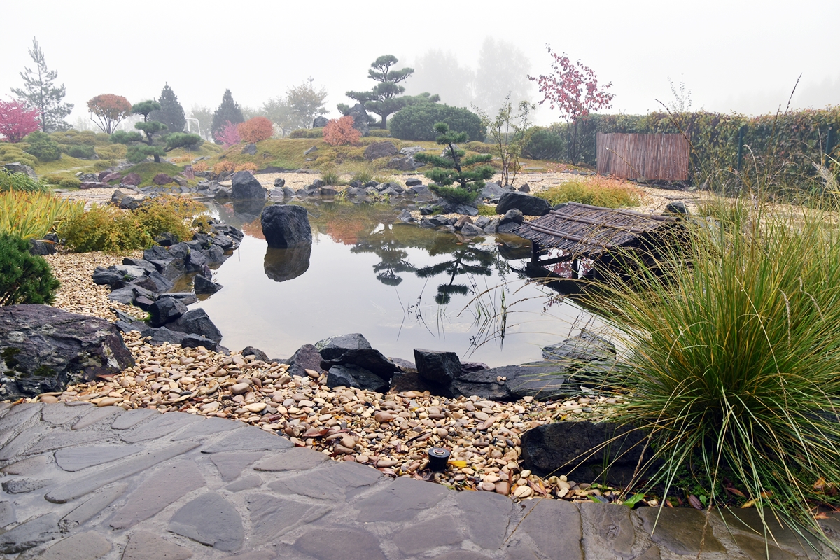 «Японский сад: от мечты к воплощению» — авторский курс ландшафтного дизайнера, практика с 19-летним опытом — Ирины Андриановой