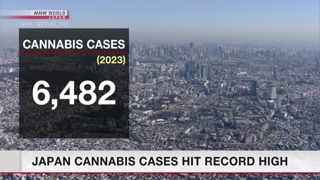 В прошлом году в Японии число случаев, связанных с каннабисом, достигло рекордного уровня