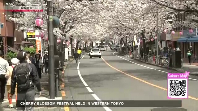 Участники фестиваля цветения сакуры в западной части Токио поддержали пострадавших от землетрясения
