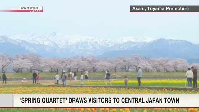«Весенний квартет» цветов и гор привлекает гостей в город в центральной Японии