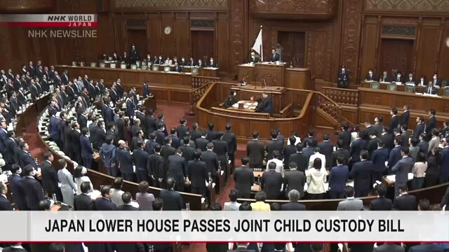 Нижняя палата парламента Японии одобрила законопроект, разрешающий совместную опеку над детьми для разведенных родителей