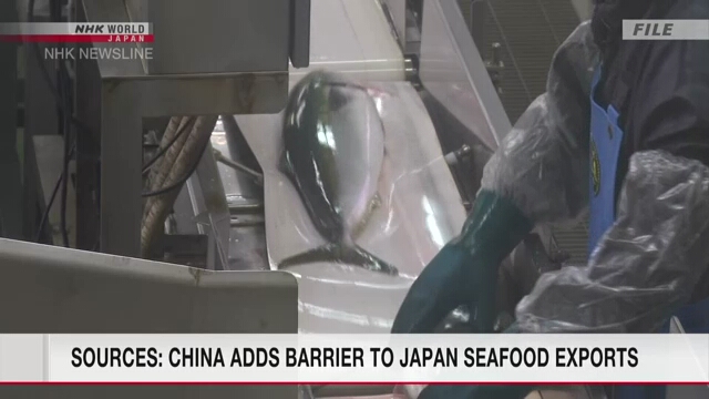 Сообщается, что Китай приостановил регистрацию японских экспортеров морепродуктов