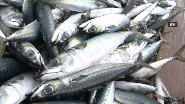 Производство морепродуктов в Японии во второй год подряд упало ниже показателя 4 млн тонн