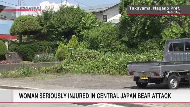 Женщина серьёзно пострадала в результате нападения медведя в центральной Японии