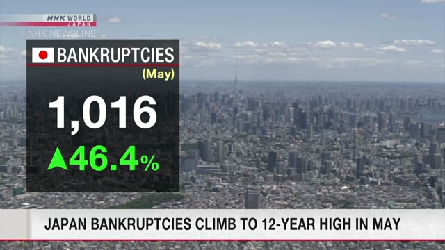 Число банкротств в Японии в мае оказалось самым большим за 12 лет