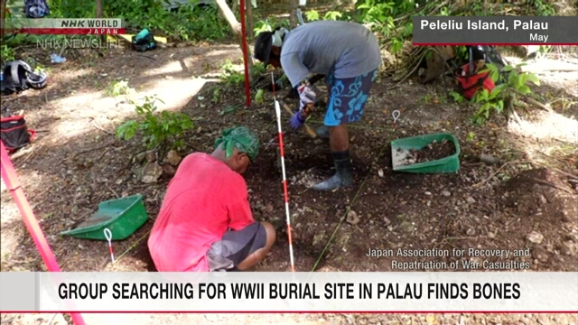 Группа по поиску захоронений японских солдат, павших во Второй мировой войне, обнаружила останки
