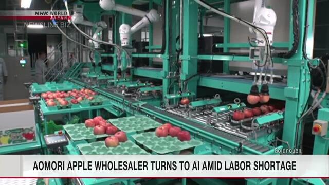 Оптовый продавец яблок в префектуре Аомори прибегает к искусственному интеллекту из-за нехватки рабочих рук