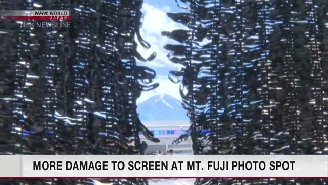 В завесе на популярном месте фотографирования Фудзи обнаружили очередную прореху
