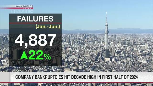 В первой половине 2024 года в Японии разорилось самое большое число предприятий за десять лет