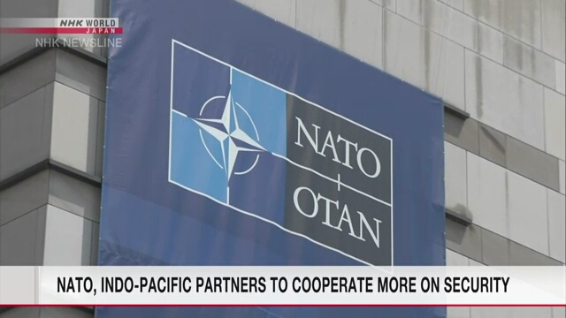 НАТО и ее партнеры в Индо-Тихоокеанском регионе укрепят сотрудничество в таких областях как защита от кибератак