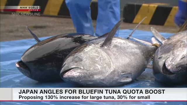 В Японии начала работу конференция по управлению запасами тихоокеанского голубого тунца