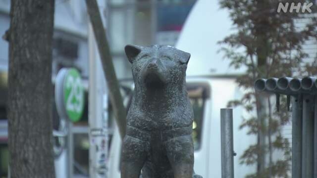 Статуя собаки Хатико в Токио огорожена на Хэллоуин