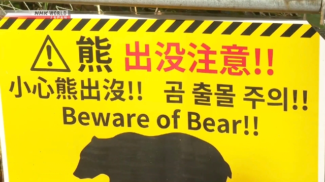 В живописном ущелье Наруко на северо-востоке Японии установили знаки с предупреждениями о медведях на разных языках