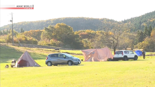 Два человека получили ранения в результате отдельных нападений медведей на северо-востоке Японии