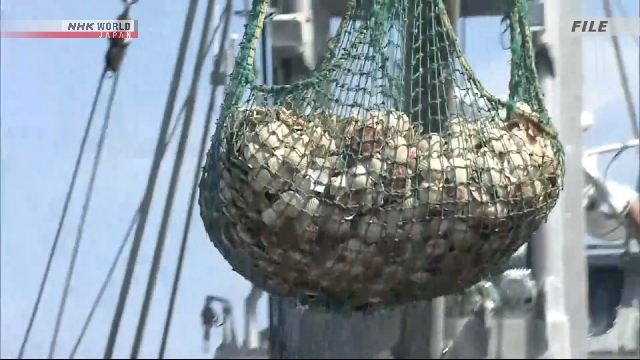 Министерство Японии заявило о возобновлении поставок морепродуктов в Китай