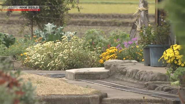 Пять человек получили ранения в результате нападений медведей в трех префектурах Японии в воскресенье