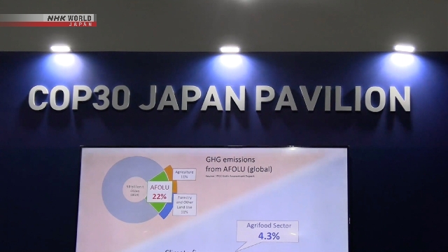 Японские компании продвигают климатосберегающие технологии на COP30