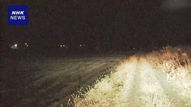 Тело женщины, погибшей, предположительно, от нападения медведя, обнаружено на рисовом поле на севере Японии