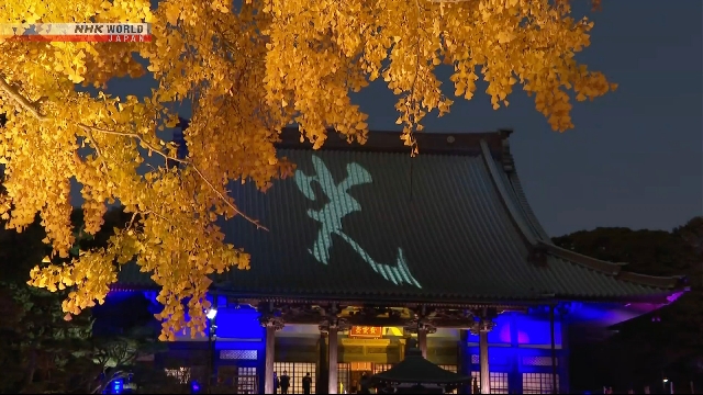 В буддийском храме в Японии проводится световое шоу в честь его 700-летия