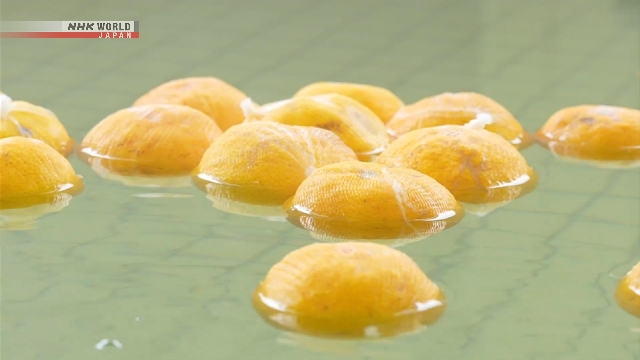 Термальный источник на севере Японии предлагает ванны с цитрусом юдзу