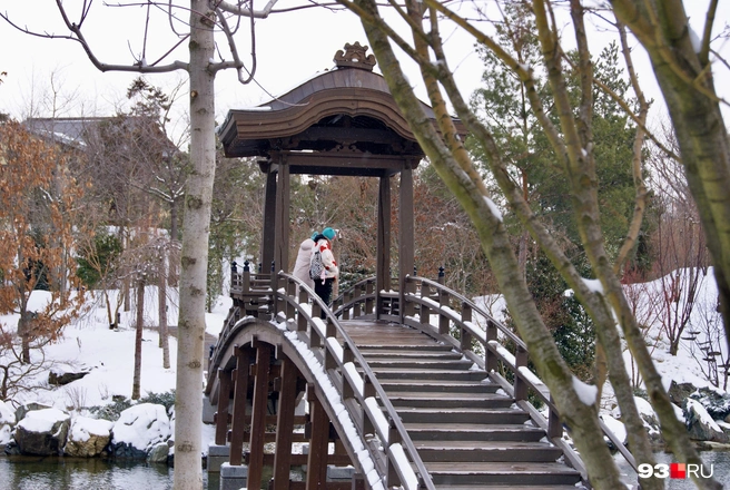Лекции и просмотр аниме. Какие мероприятия пройдут в Японском саду в Краснодаре на новогодних праздниках — афиша