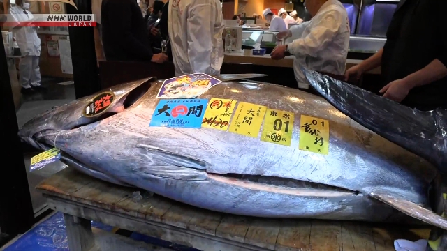 Тунец продан за рекордные 3,2 млн долларов на первом аукционе года в Токио