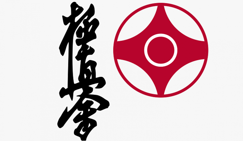 В Японию на международный чемпионат по киокушинкай отправятся армавирские каратисты