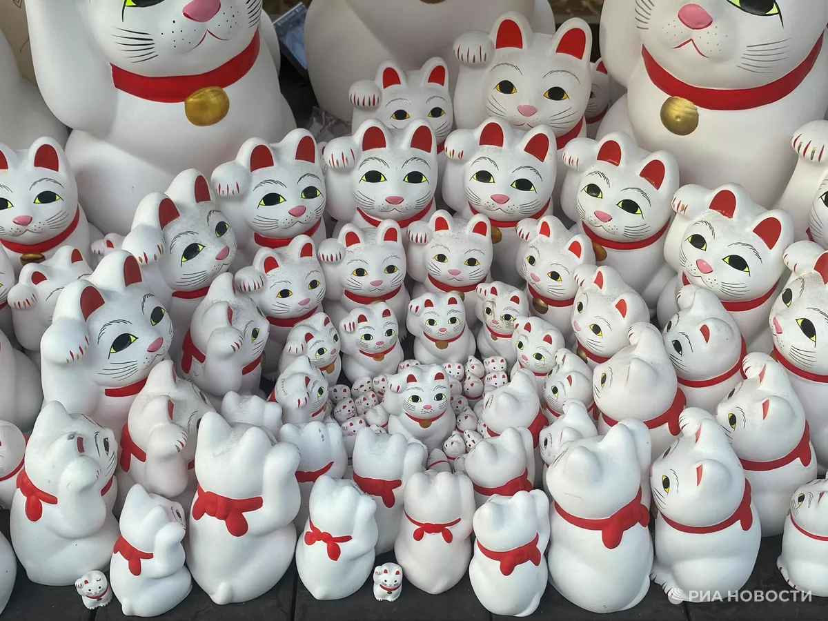 Котомания охватила Японию в день кошек 22 февраля