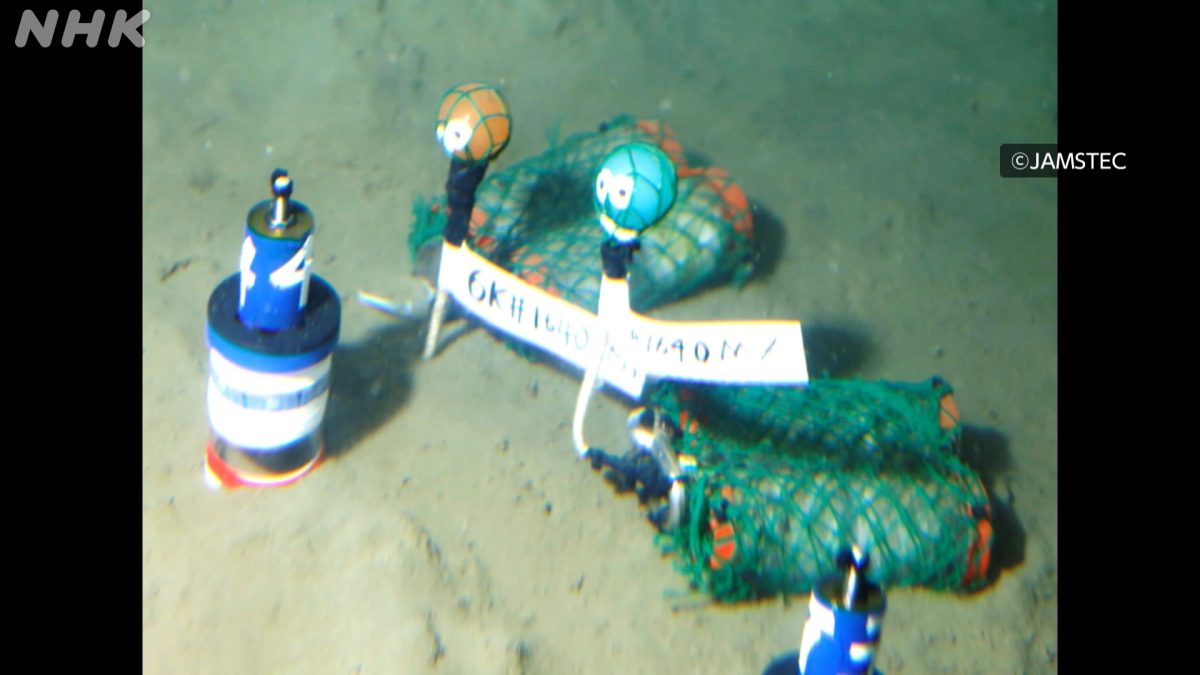 Ученые разработали пластик, быстро разлагающийся в море
